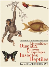 Les planches du Dictionnaire d'Histoire Naturelle - Coffret 5 vol.