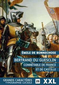 Bertrand Du Guesclin, Connétable de France et de Castille