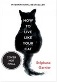 HOW TO LIVE LIKE YOUR CAT