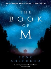 THE BOOK OF M