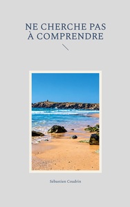 Ne cherche pas à comprendre