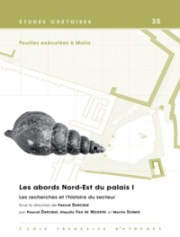 Les abords Nord-Est  du palais I. Les recherches et l'histoire du secteur