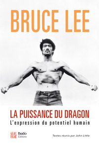 La puissance du dragon