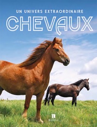 CHEVAUX. UN UNIVERS EXTRAORDINAIRE