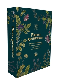 Plantes guérisseuses