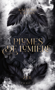 Plumes de lumière - Zel - tome 4