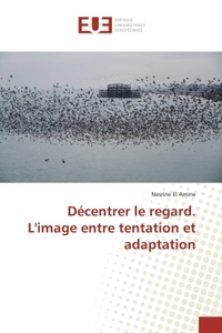 Décentrer le regard. L'image entre tentation et adaptation