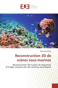 RECONSTRUCTION 3D DE SCENES SOUS-MARINES