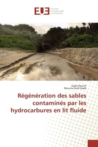 Regeneration des sables contamines par les hydrocarbures en lit fluide