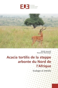 Acacia tortilis de la steppe arboree du Nord de l'Afrique