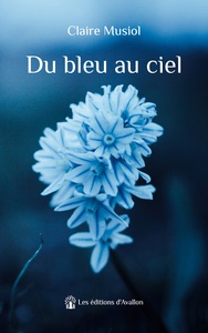 Du bleu au ciel