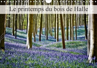 LE PRINTEMPS DU BOIS DE HALLE CALENDRIER MURAL 2018 DIN A4 H