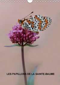 LES PAPILLONS DE LA SAINTE BAU