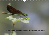 LES DEMOISELLES DE LA SAINTE B