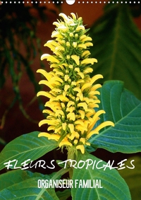 FLEURS TROPICALES ORGANISEUR F