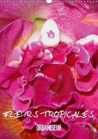 FLEURS TROPICALES ORGANISEUR C