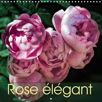 ROSE ELEGANT CALENDRIER MURAL