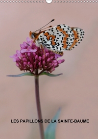 LES PAPILLONS DE LA SAINTE BAU