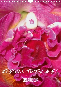 FLEURS TROPICALES ORGANISEUR C
