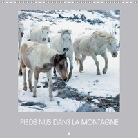 PIEDS NUS DANS LA MONTAGNE CALENDRIER MURAL 2018 300 300 MM