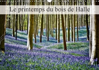 LE PRINTEMPS DU BOIS DE HALLE CALENDRIER MURAL 2018 DIN A3 H