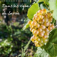 DANS LES VIGNES DE SA