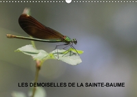 LES DEMOISELLES DE LA SAINTE B