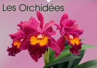 LES ORCHIDEES CALENDRIER MURAL