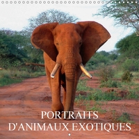 PORTRAITS D ANIMAUX EXOTIQUES