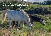 CHEVAL CAMARGUAIS CALENDRIER M