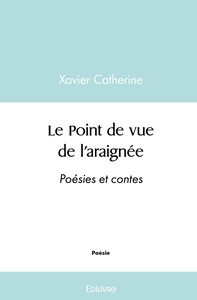 Le Point de vue de l'araignée