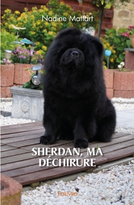 Sherdan, ma déchirure