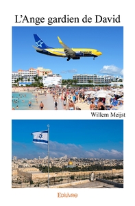 L'Ange gardien de David