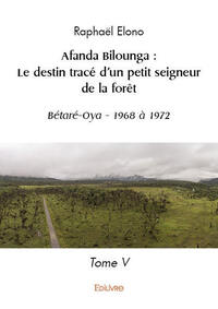 Afanda bilounga : le destin tracé d'un petit seigneur de la forêt