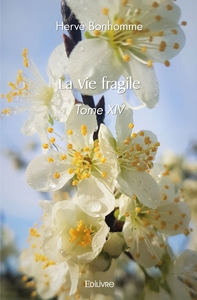 La Vie fragile - Tome 14
