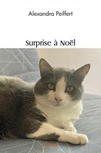 Surprise à noël