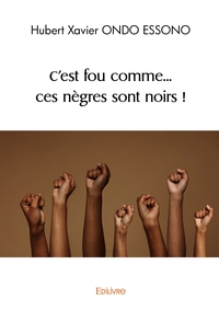 C'est fou comme... ces nègres sont noirs !