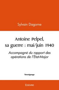 Antoine pelpel, sa guerre : mai/juin 1940