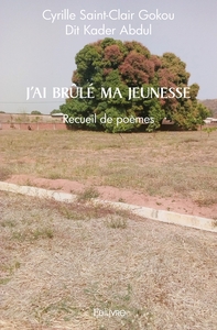 J'ai brûlé ma jeunesse