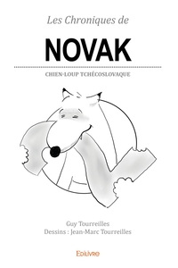 Les Chroniques de Novak - Tome 2