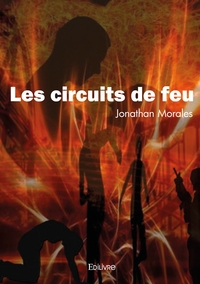 Les circuits de feu
