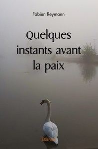 Quelques instants avant la paix