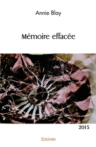 Mémoire effacée