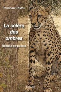 La colère des ombres