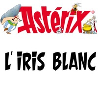 PACK 10 EXS ASTERIX 40