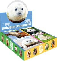 BOITE BONJOUR LES ANIMAUX 16 EX. 2022