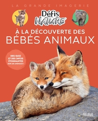 LES BEBES ANIMAUX