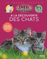 À la découverte des chats