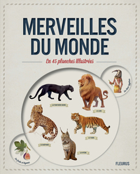 MERVEILLES DU MONDE EN 45 PLANCHES ILLUSTREES