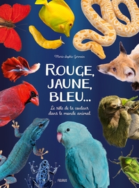 Rouge, jaune, bleu...